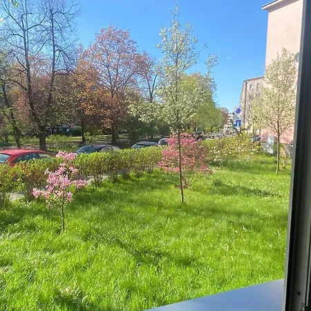 Center - Chill Spot By The River *