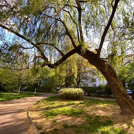 Apartment Center - Chill Spot By The River *