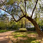 Appartamento Center - Chill Spot By The River *